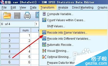 spss20.0如何进行反向计分