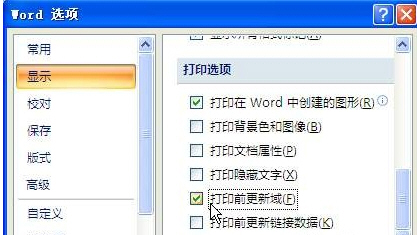 Word2007怎样设置域结果自动更新